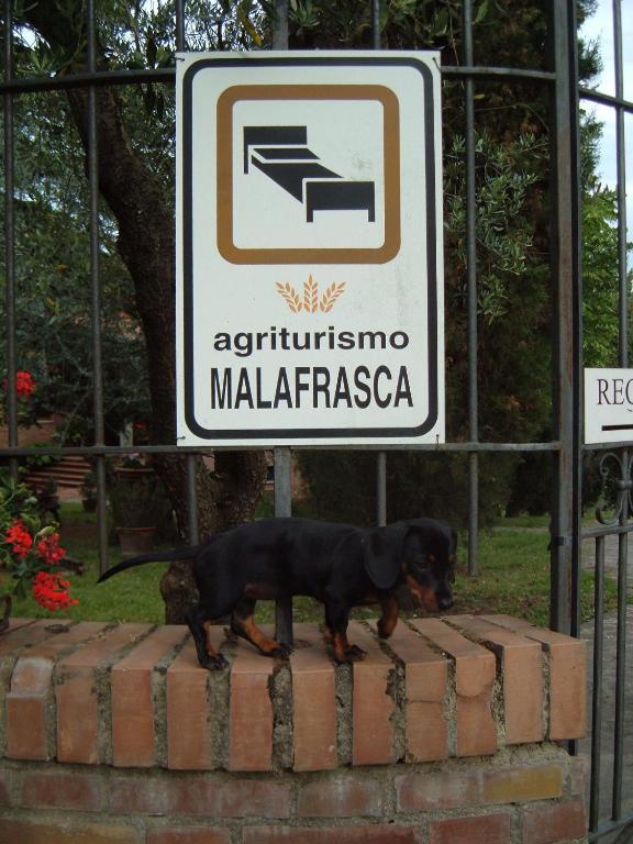 Willa Agriturismo Malafrasca Siena Zewnętrze zdjęcie